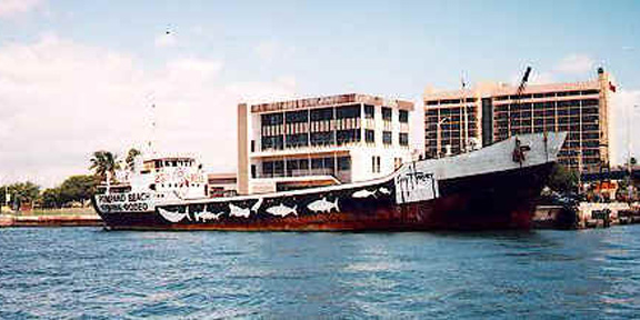 Dive With South Florida Diving Headquarters